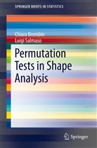 Chiara Brombin, Luig Salmaso, Luigi Salmaso - Permutation Tests in Shape Analysis