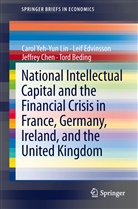Tord Beding, Jeffrey Chen, Jeffrey e Chen, Lei Edvinsson, Leif Edvinsson, Carol Yeh Lin... - National Intellectual Capital and the Financial Crisis in France, Germany, Ireland, and the United Kingdom