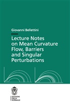 Giovanni Bellettini - Lecture Notes on Mean Curvature Flow: Barriers and Singular Perturbations
