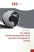 Paula De Souza Paes, Paes-p - Les enjeux communicationnels de