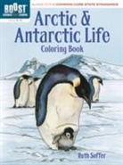 Ruth Soffer - Boost Arctic and Antarctic Life Coloring Book