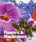 Toni Stoos, Ton Stooss, Toni Stooss, Toni Stooss von - Flowers & Mushrooms