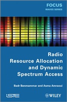 Asma Amraoui, Bad Benmammar, Badr Benmammar - Radio Resource Allocation and Dynamic Spectrum Access