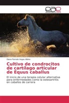 Diana Pamela Vegas Albino - Cultivo de condrocitos de cart&iacute;lago articular de Equus caballus