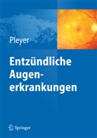 Uw Pleyer, Uwe Pleyer - Entzündliche Augenerkrankungen