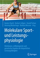 Nobert Bachl, Bach, Norbert Bachl, Löllge, Herber Löllgen, Herbert Löllgen... - Molekulare Sport- und Leistungsphysiologie