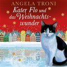 Angela Troni, Merete Brettschneider - Kater Flo und das Weihnachtswunder, 3 Audio-CDs (Hörbuch)