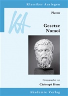 Chri Bobonich, Chris Bobonich, Michae Bordt, Michael Bordt, Hallvard Fossheim, Platon... - Platon: Gesetze. Nomoi