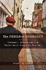 Karel Plessini - Perils of Normalcy