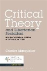 Charles Masquelier, Dr. Charles Masquelier - Critical Theory and Libertarian Socialism