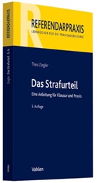 Theo Ziegler - Das Strafurteil
