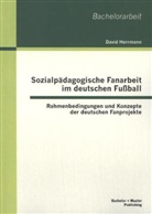 David Herrmann - Sozialpädagogische Fanarbeit im deutschen Fußball