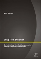 Attila Gerlach - Long Term Evolution