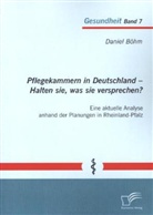 Daniel Böhm - Pflegekammern in Deutschland