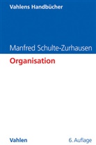 Schulte-Zurhausen, Manfred Schulte-Zurhausen - Organisation