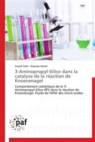 Maamar Hamdi, Ouali Talhi, Oualid Talhi - 3 aminopropyl silice dans la