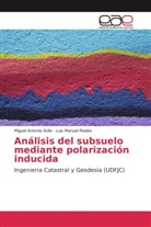 Miguel Antoni Ávila, Miguel Antonio Ávila, Luis Manuel Reales - Análisis del subsuelo mediante polarización inducida