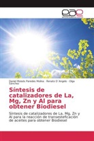 Renato D Angelo, Renat D´Angelo, Renato D´Angelo, Daniel Moisé Paredes Molina, Daniel Moisés Paredes Molina, Sán... - Síntesis de catalizadores de La, Mg, Zn y Al para obtener Biodiesel