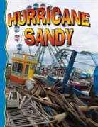 Lynn Peppas - Superstorm Sandy