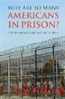 Steven Raphael, Steven/ Stoll Raphael, Michael A. Stoll, David Car, Steven Raphael - Why Are So Many Americans in Prison?