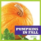 Mari Schuh, Mari C Schuh, Mari C. Schuh - Pumpkins in Fall