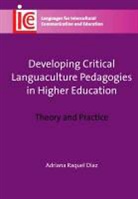 Adriana Raquel D?az, Adriana Raquel D¿, Adriana Raquel D-Az, Adriana Raquel Diaz, Adriana Raquel Díaz - Developing Critical Languaculture Pedagogies in Higher Education