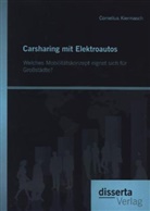 Cornelius Kiermasch - Carsharing mit Elektroautos