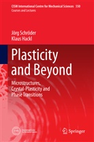 Klaus Hackl, Jör Schröder, Jörg Schröder, Joerg Schroeder - Plasticity and Beyond