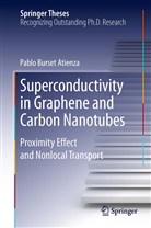 Pablo Burset Atienza - Superconductivity in Graphene and Carbon Nanotubes