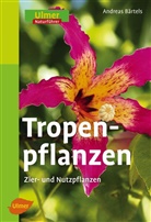 Andreas Bärtels - Tropenpflanzen