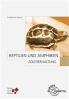 W.E. Engelmann, Wolf-Eberhar Engelmann, Wolf-Eberhard Engelmann, Klau Eulenberger, Klaus Eulenberger, FURRER... - Reptilien und Amphibien