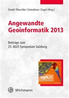 Thoma Blaschke, Thomas Blaschke, Gerald Griesebner, Gerald Griesebner u a, Josef Strobl, Bernhard Zagel - Angewandte Geoinformatik 2013