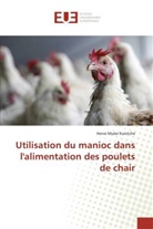 Kuietche-h, Herve Mube Kuietche - Utilisation du manioc dans l