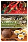 Cai Xinzhi, Zhao Yin, Zhao/ Xinzhi Yin - Snapshots of Chinese Culture
