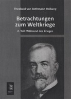 Theobald Von Bethmann Hollweg - Betrachtungen zum Weltkriege. Tl.2