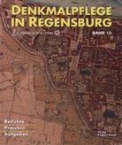 Amt für Archiv und Denkmalpflege Stadt Regensburg, Stad Regensburg Amt für Archiv und De, Stadt Regensburg Amt für Archiv und De, Stadt Regensburg, Stadt Regensburg Amt für Archiv und Denkmalpflege - Denkmalpflege in Regensburg - 13: 2011 / 2012