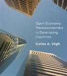 Carlos A. Vaegh Gramont, Carlos A Vegh, Carlos A. Vegh, Carlos A. Végh, Carlos A. Vgh Gramont - Open Economy Macroeconomics in Developing Countries