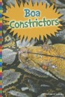 Elizabeth Raum - Boa Constrictors