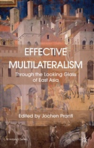 Jochen Prantl, J. Prantl, Jochen Prantl - Effective Multilateralism