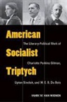 Mark Van Wienen, Mark Van Wienen - American Socialist Triptych