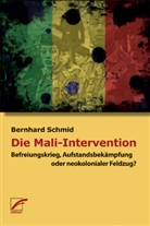 Bernhard Schmid - Die Mali-Intervention