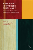 Pamela Ugwudike, Pamela Raynor Ugwudike, Raynor, P Raynor, P. Raynor, Peter Raynor... - What Works in Offender Compliance?