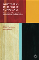 Peter Raynor, Peter Ugwudike Raynor, Professor Peter Ugwudike Raynor, Pamela Ugwudike, Raynor, P Raynor... - What Works in Offender Compliance?