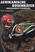 Uwe Schlüter - Afrikanische Rosenkäfer