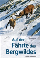 Ernst Rudigier - Auf der Fährte des Bergwildes
