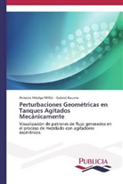 Gabriel Ascanio, Antoni Hidalgo-Millán, Antonio Hidalgo-Millán - Perturbaciones Geométricas en Tanques Agitados Mecánicamente