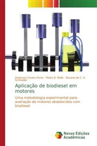 Anderso Favero Porte, Anderson Favero Porte, Pedro Mello, Pedro B. Mello, S Schneider, Rosana de C. S. Schneider - Aplicação de biodiesel em motores