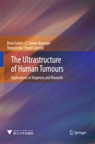 S Sanka Banerjee, S Sankar Banerjee, S. Sankar Banerjee, Bria Eyden, Brian Eyden, Pawe Liberski... - The Ultrastructure of Human Tumours