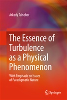 Arkady Tsinober - The Essence of Turbulence as a Physical Phenomenon