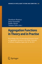 Humberto Bustince, Tomasa Calvo, Tomasas Calvo, Tomasa Calvo Sánchez, Javie Fernandez, Javier Fernandez... - Aggregation Functions in Theory and in Practise